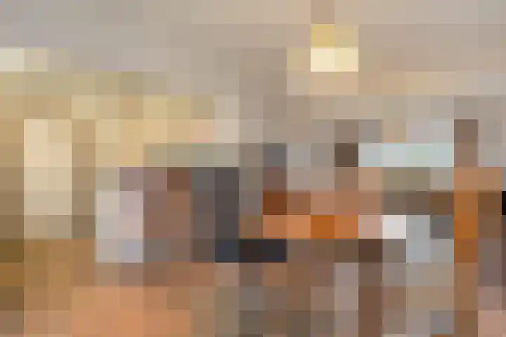 Havelterweg 53 Ruinerwold thumbnail 8