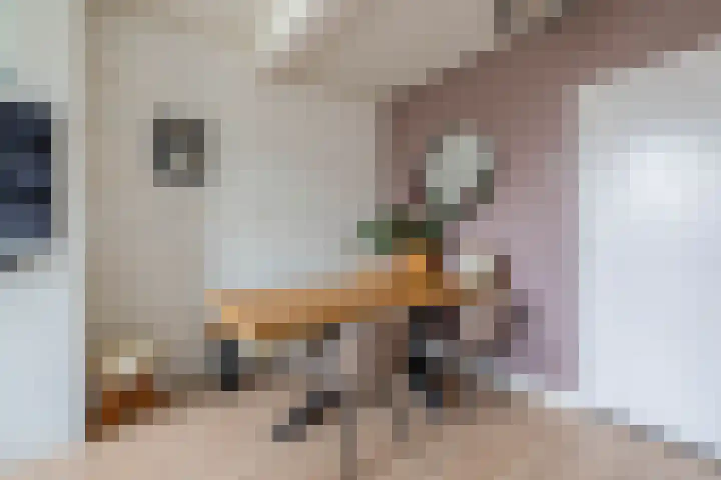 Haven 1 Sprang-Capelle thumbnail 12