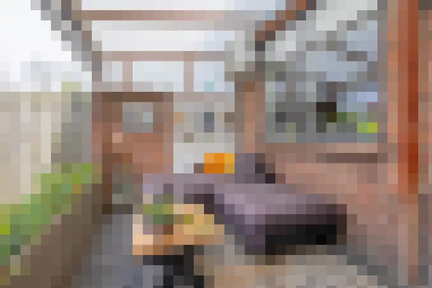 Haven 1 Sprang-Capelle thumbnail 21