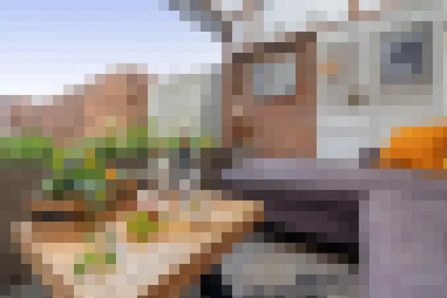 Haven 1 Sprang-Capelle thumbnail 23