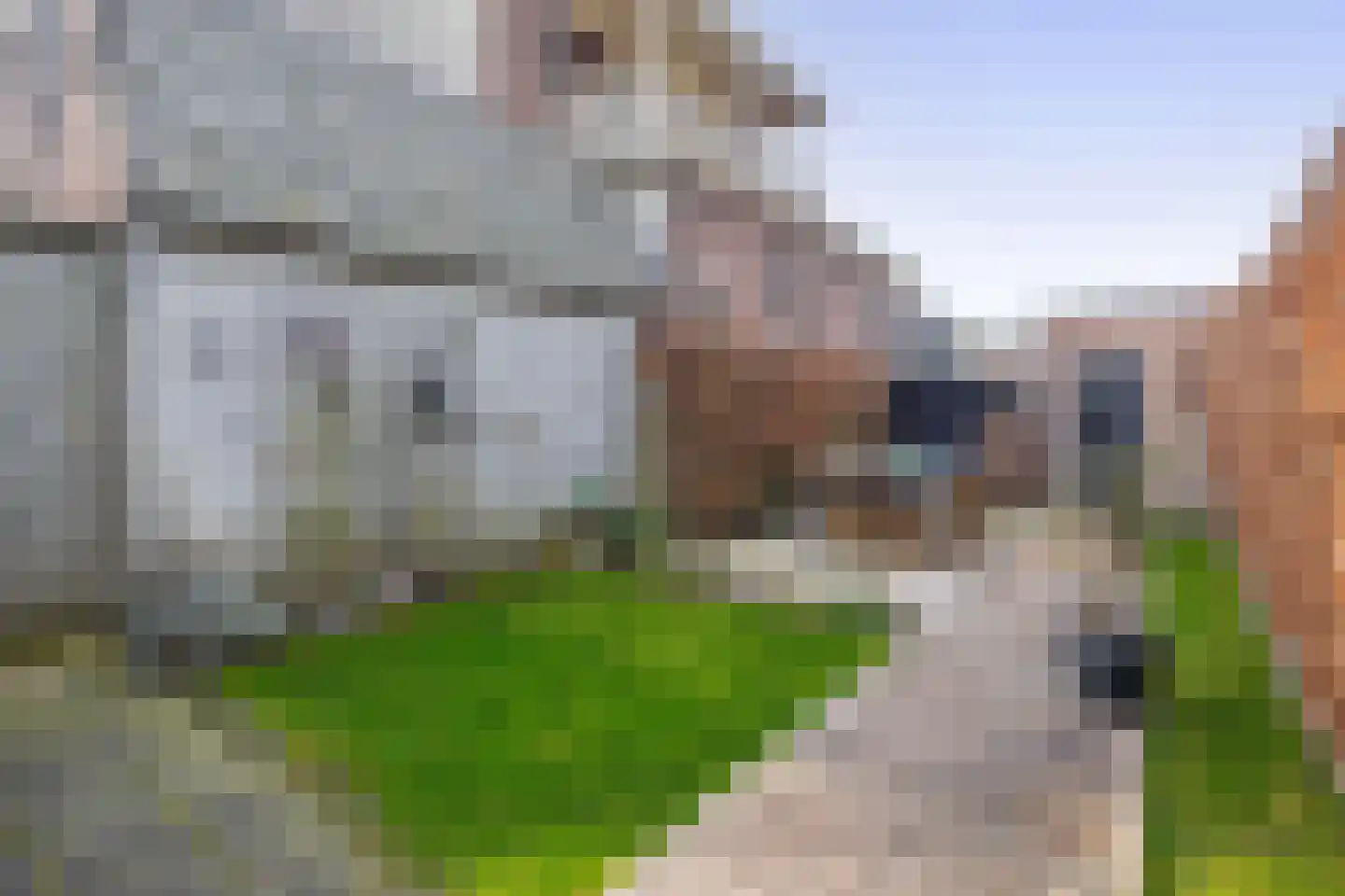 Haven 1 Sprang-Capelle thumbnail 25