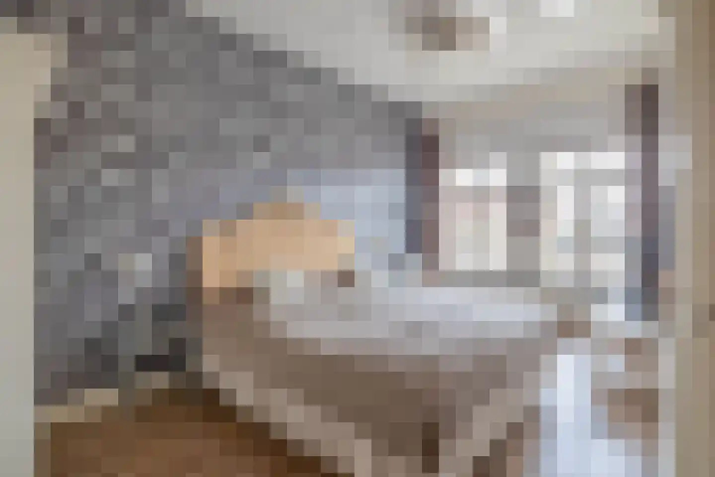 Haven 1 Sprang-Capelle thumbnail 30
