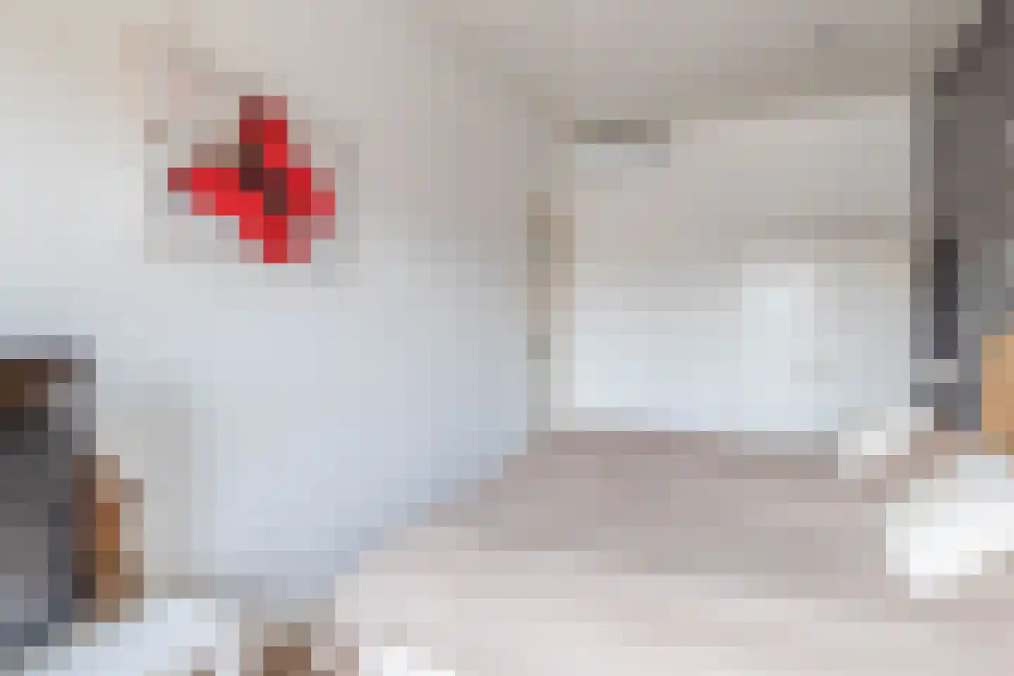 Haven 1 Sprang-Capelle thumbnail 33