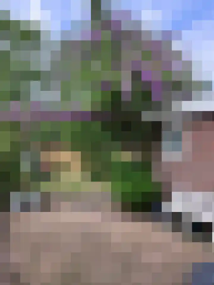 Haven 10 Reduzum thumbnail 12