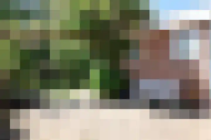Haven 10 Reduzum thumbnail 13