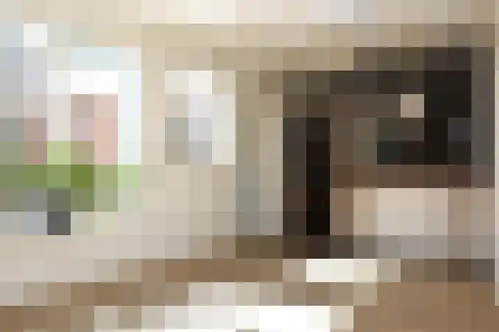 Haven 10 Reduzum thumbnail 18