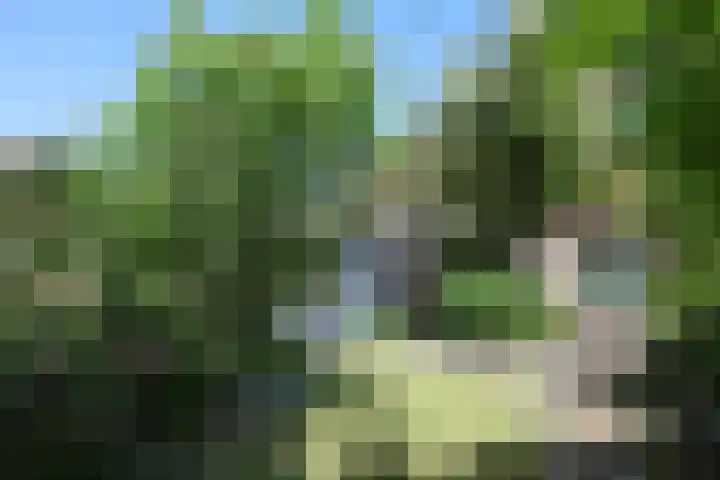 Haven 10 Reduzum thumbnail 4