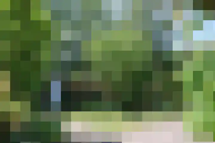 Haven 10 Reduzum thumbnail 8