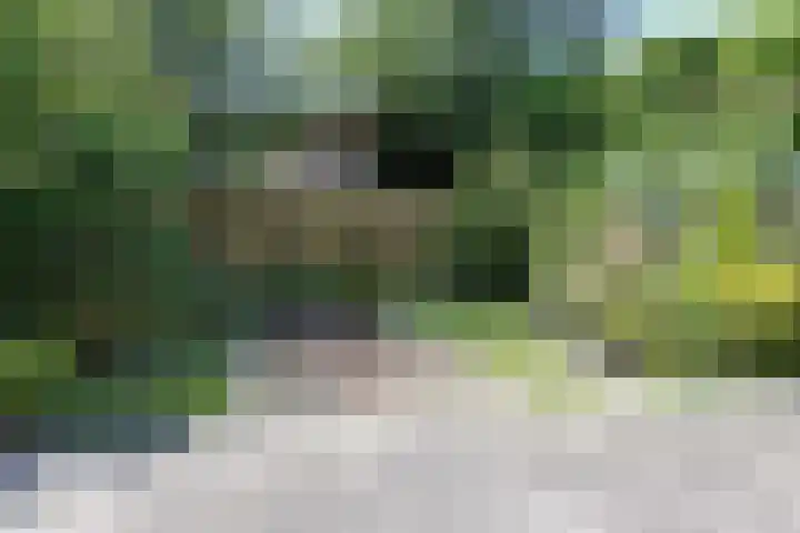 Haven 10 Reduzum thumbnail 9