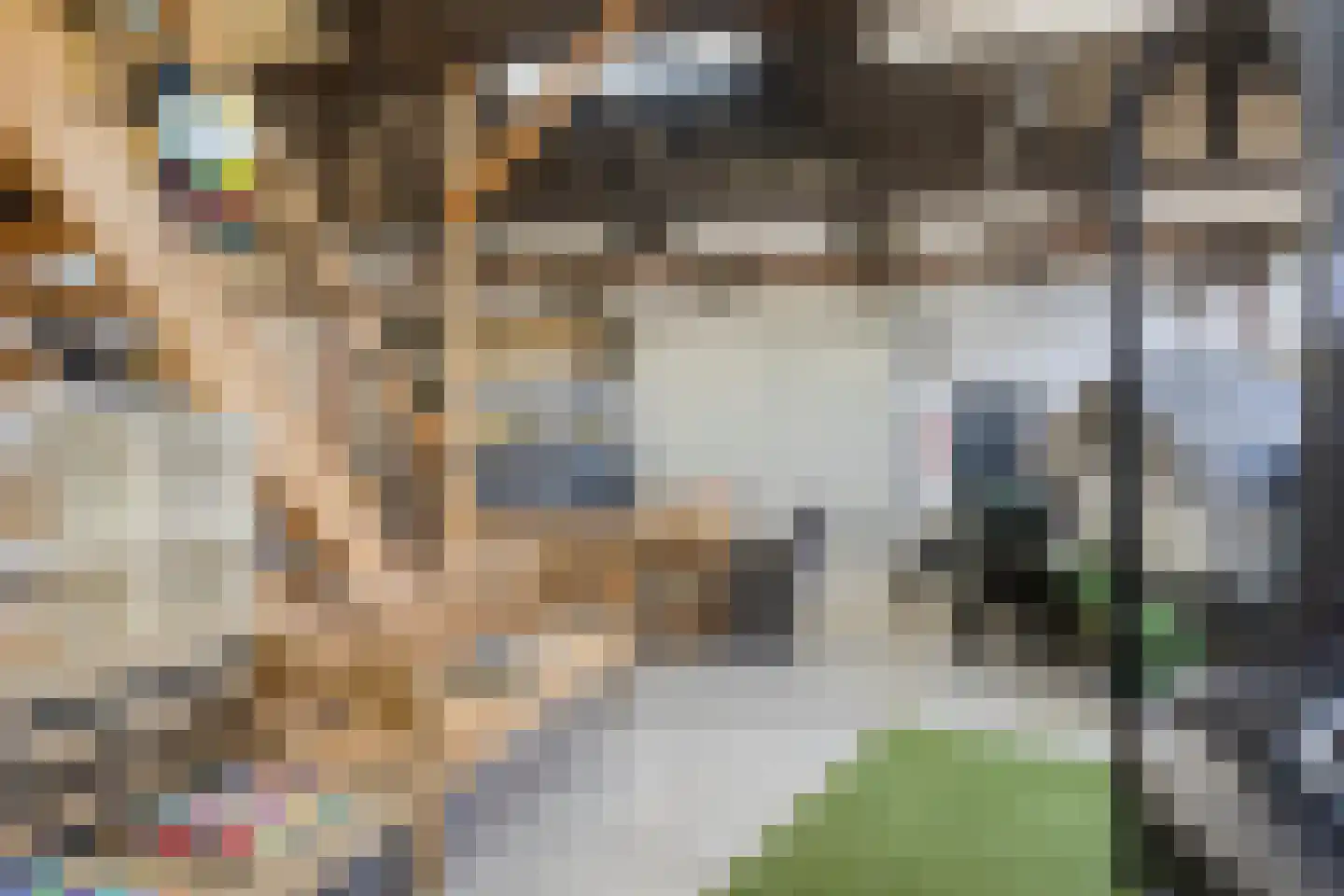 Haven 10 Stad aan 't Haringvliet thumbnail 26