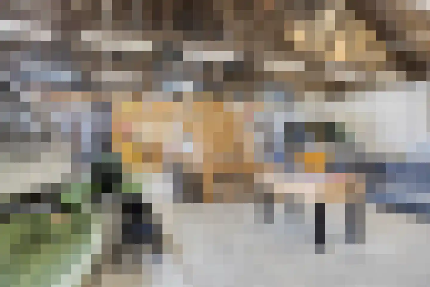 Haven 10 Stad aan 't Haringvliet thumbnail 29