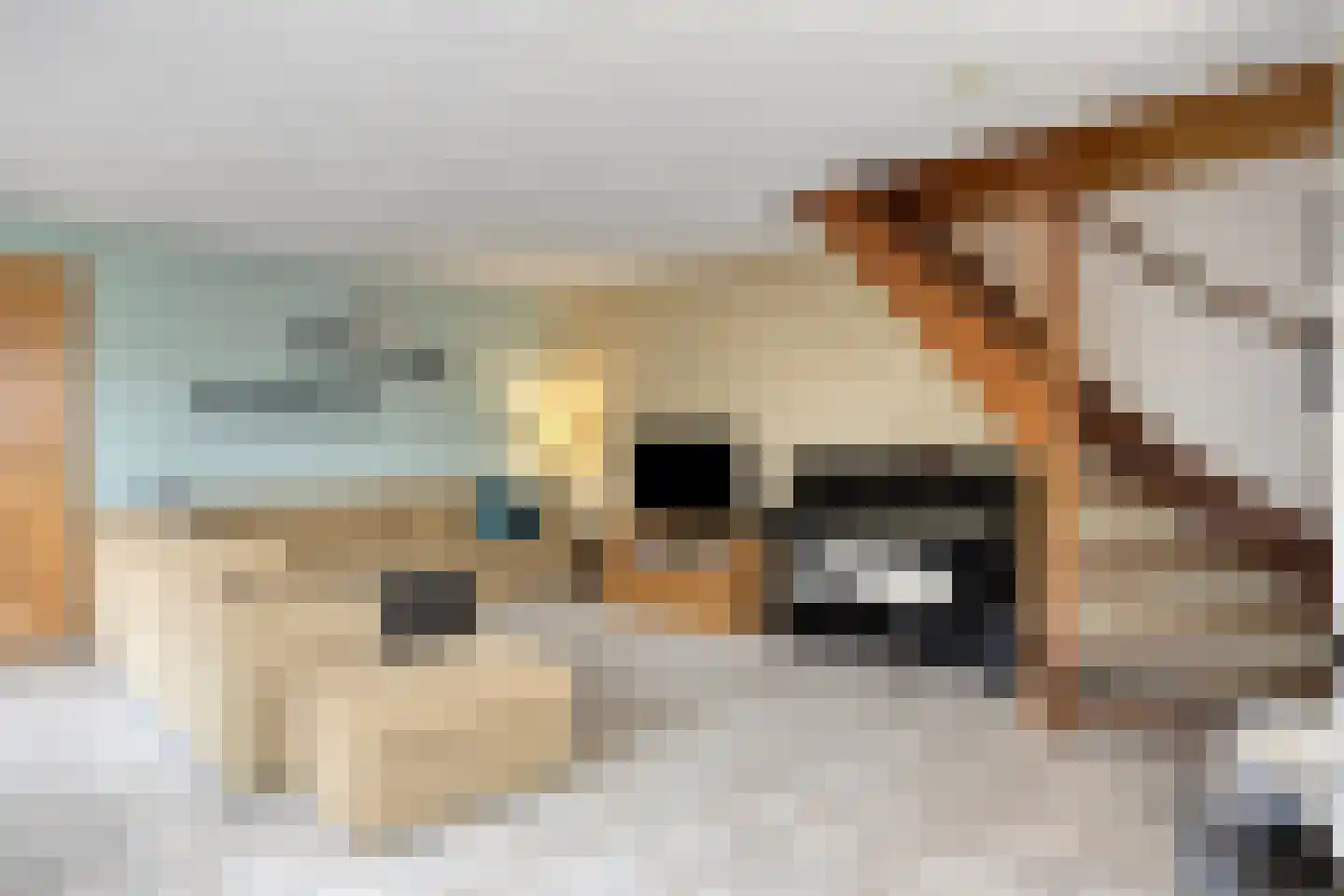 Haven 10 Stad aan 't Haringvliet thumbnail 9
