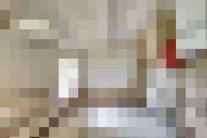Haven 106 Raamsdonksveer thumbnail 10
