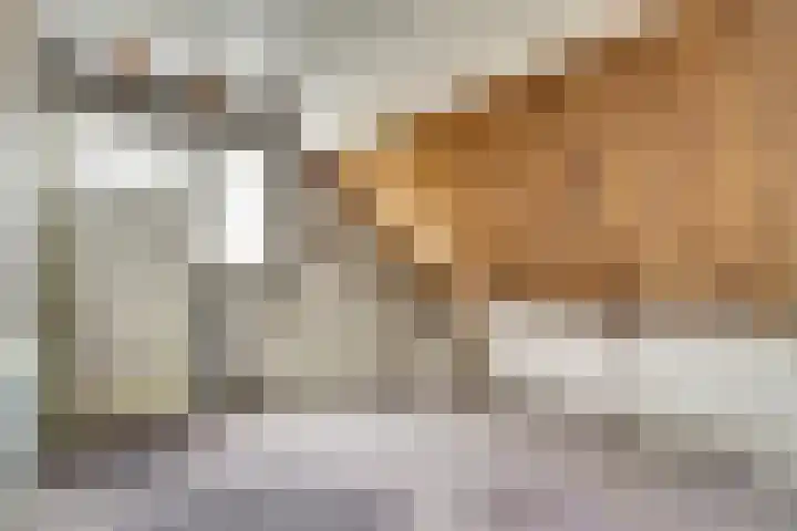Haven 106 Raamsdonksveer thumbnail 20