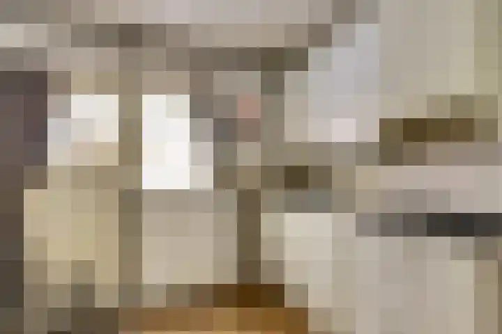 Haven 106 Raamsdonksveer thumbnail 6