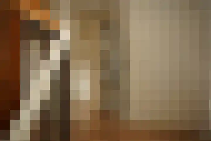 Haven 12 Aardenburg thumbnail 15