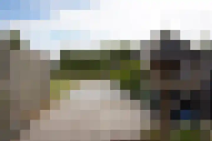 Haven 12 Aardenburg thumbnail 29