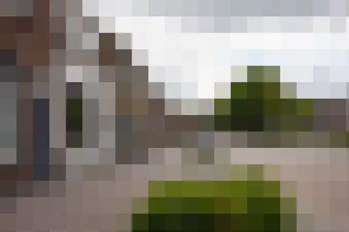 Haven 12 Aardenburg thumbnail 37