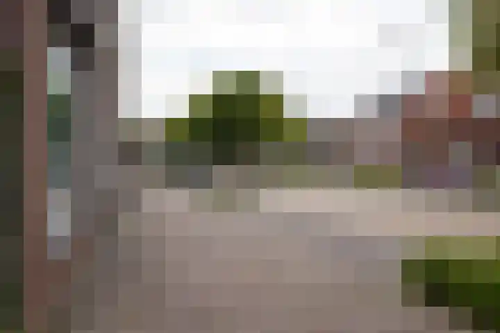Haven 12 Aardenburg thumbnail 38