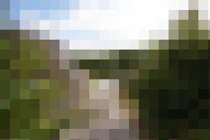 Haven 12 Aardenburg thumbnail 4