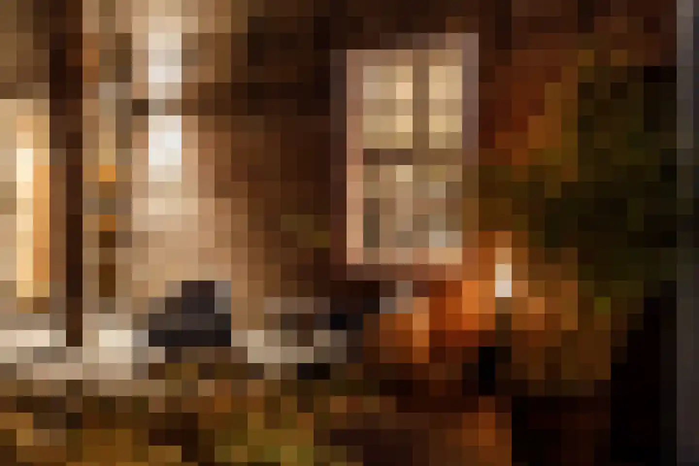 Haven 14 Geertruidenberg thumbnail 100