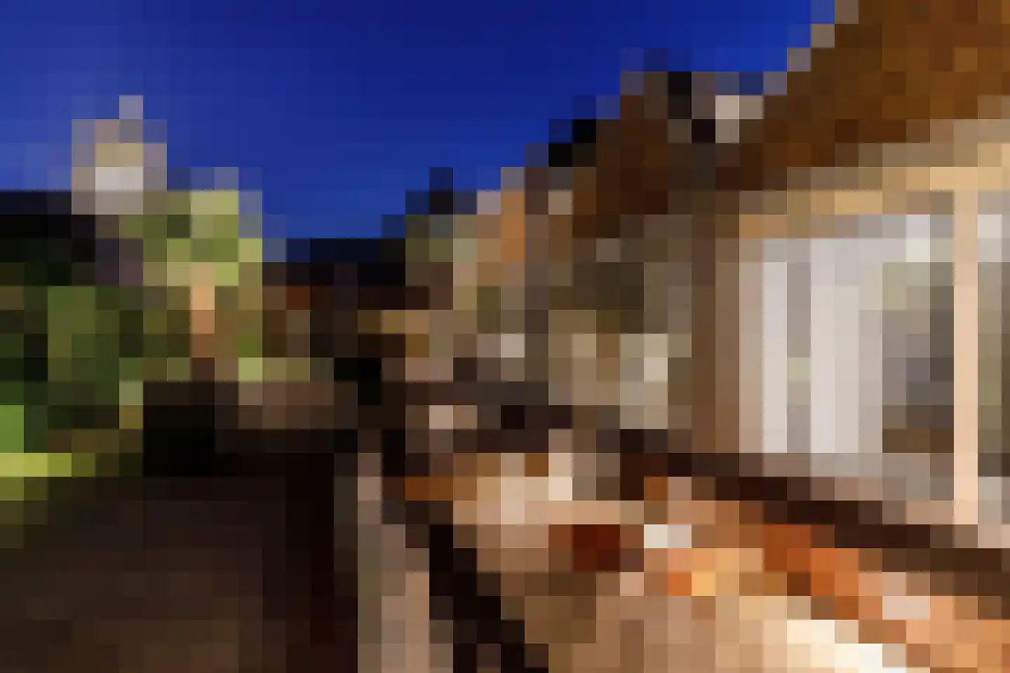 Haven 14 Geertruidenberg thumbnail 101