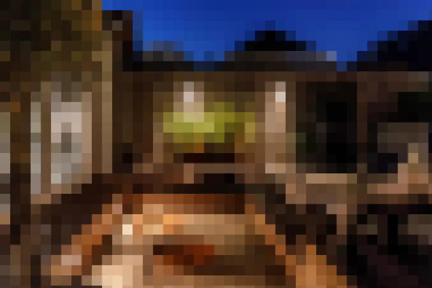 Haven 14 Geertruidenberg thumbnail 103