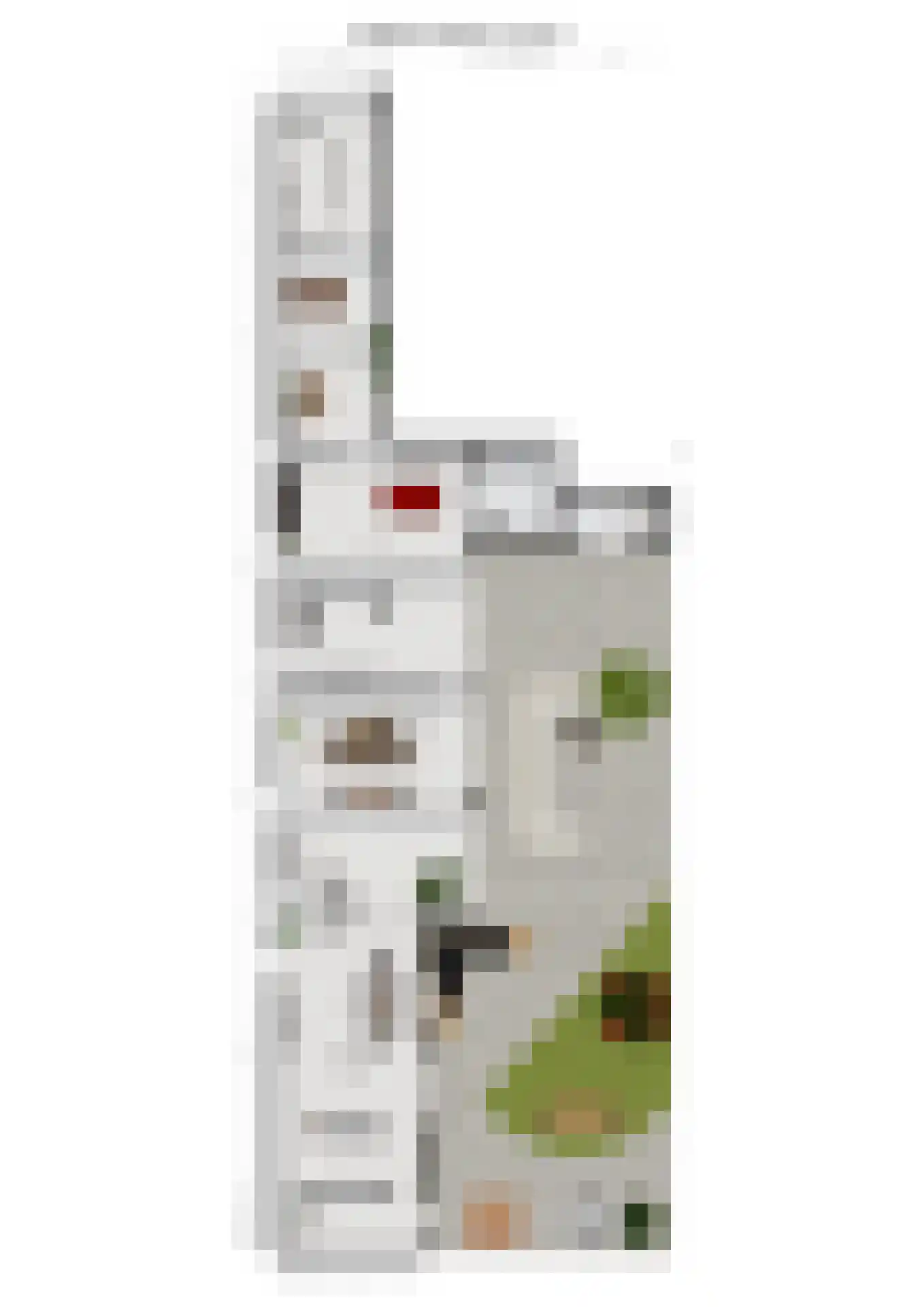Haven 14 Geertruidenberg thumbnail 113