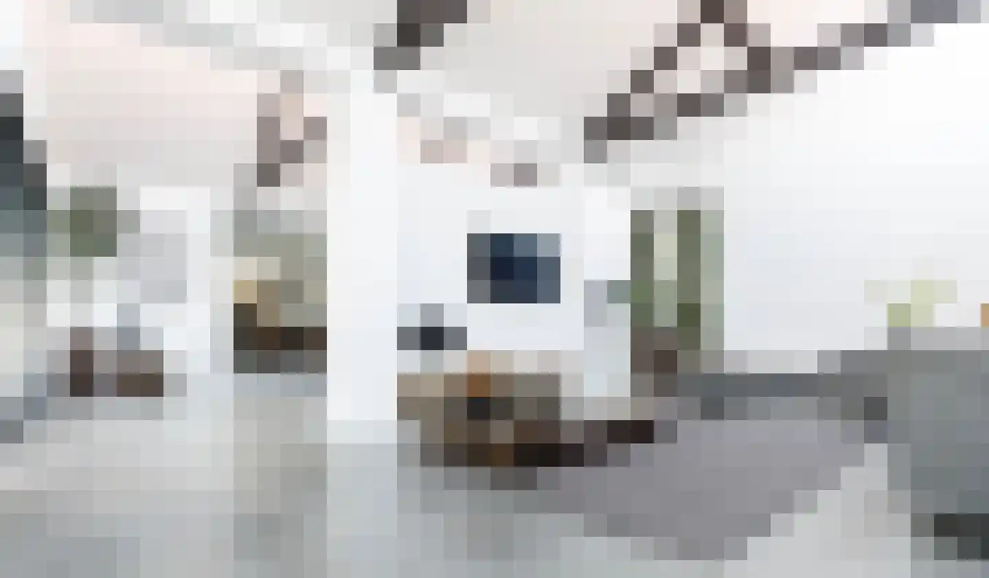 Haven 14 Geertruidenberg thumbnail 18