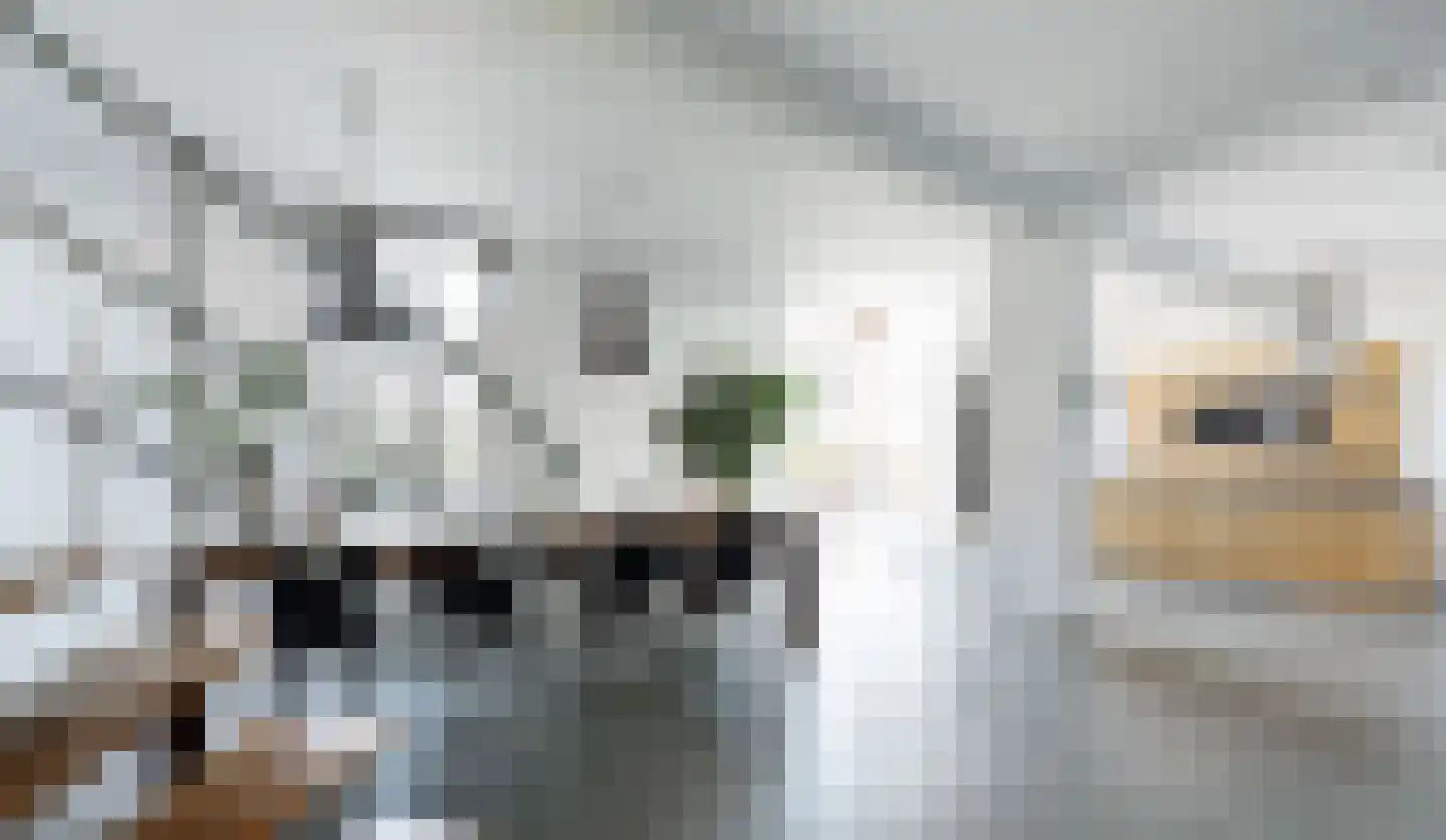 Haven 14 Geertruidenberg thumbnail 20