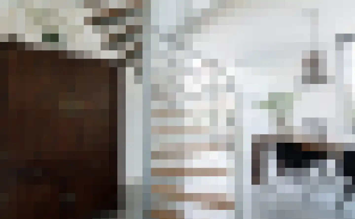 Haven 14 Geertruidenberg thumbnail 22