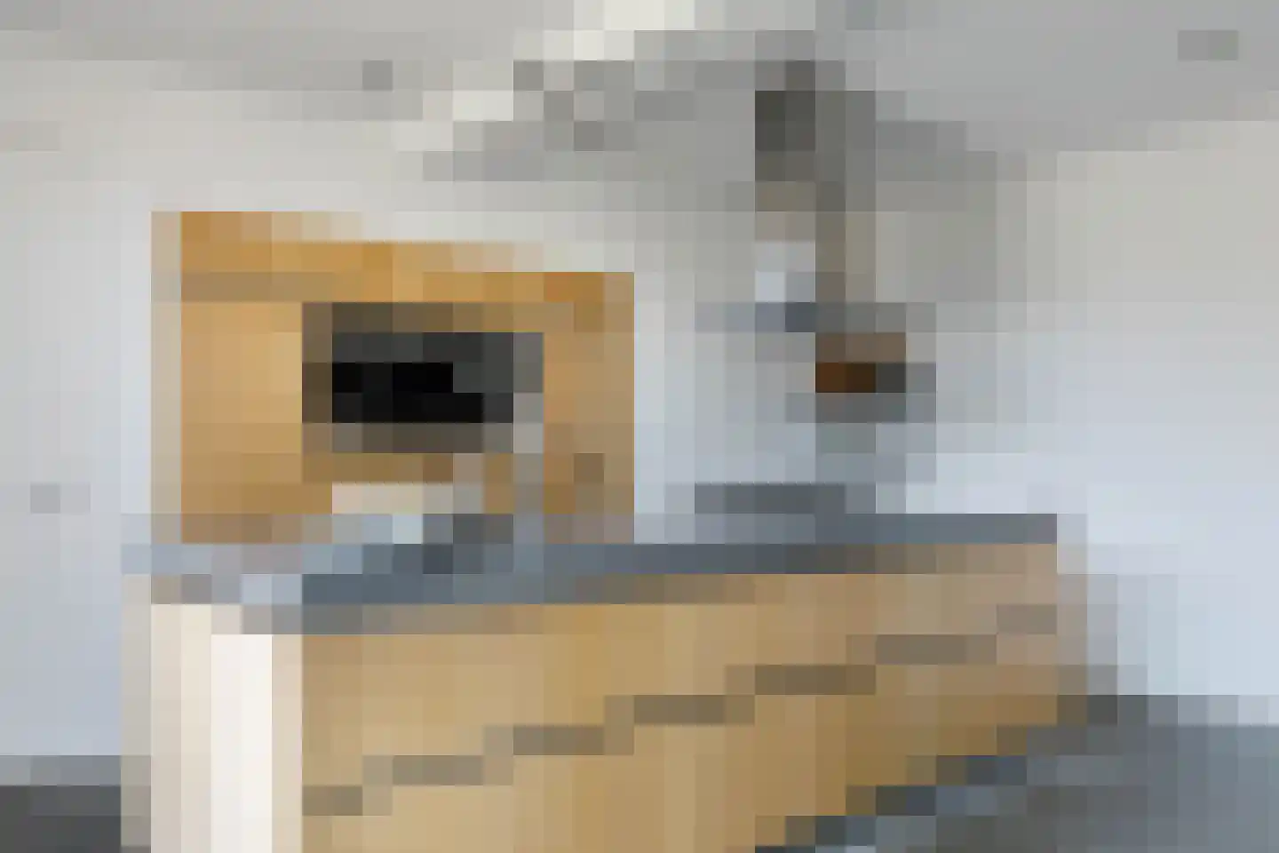 Haven 14 Geertruidenberg thumbnail 30