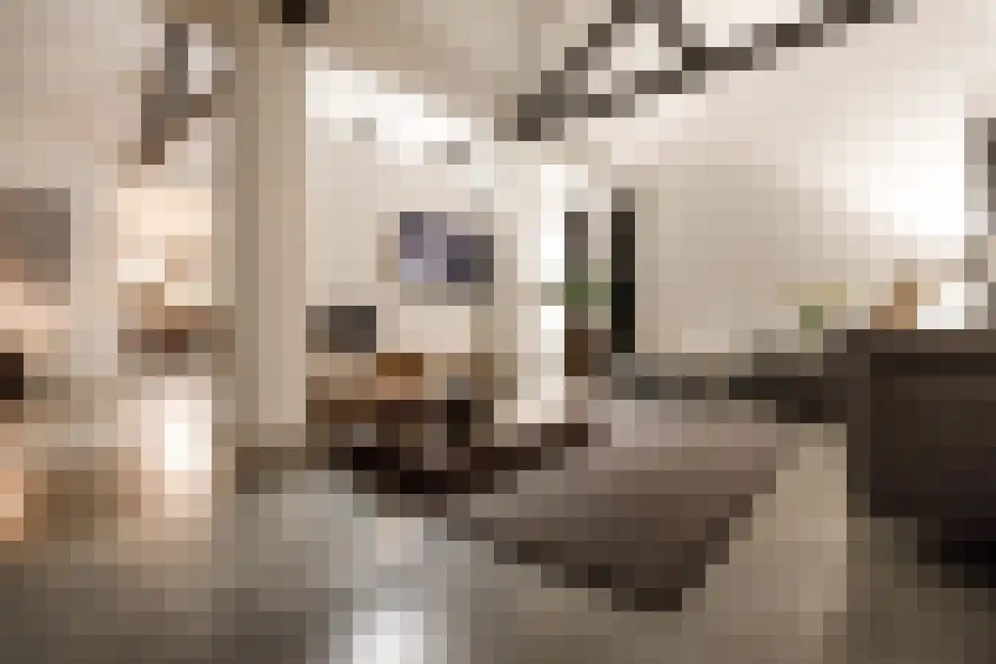 Haven 14 Geertruidenberg thumbnail 33