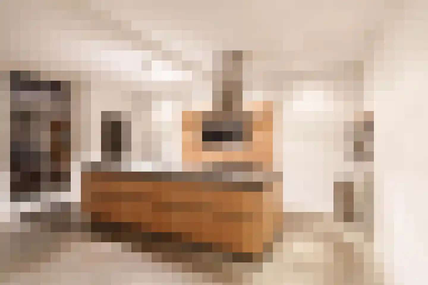 Haven 14 Geertruidenberg thumbnail 36