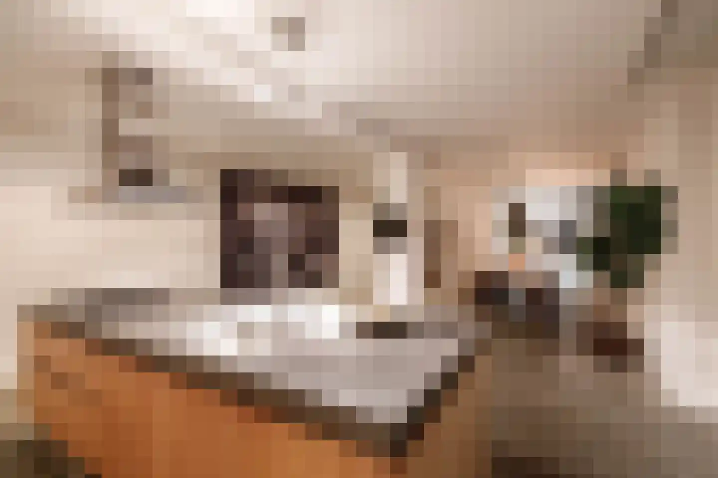 Haven 14 Geertruidenberg thumbnail 37