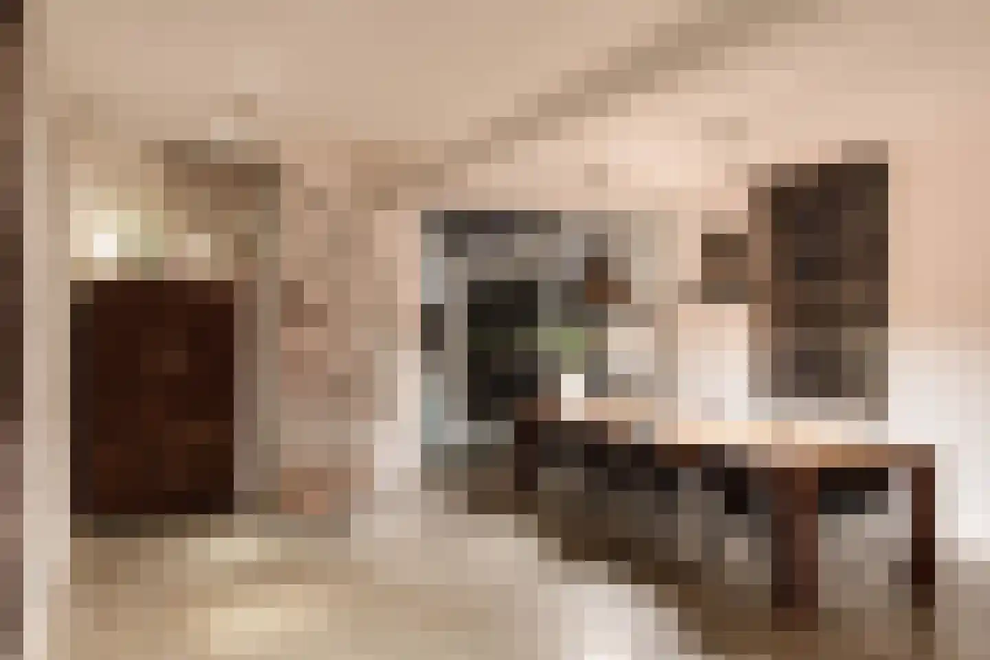 Haven 14 Geertruidenberg thumbnail 39