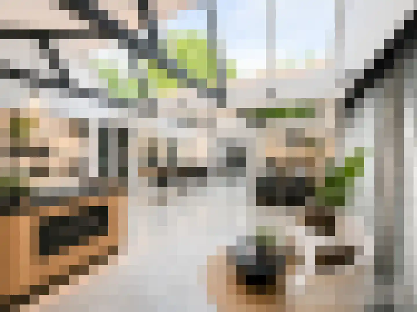 Haven 14 Geertruidenberg thumbnail 47