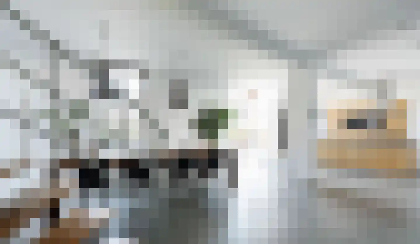 Haven 14 Geertruidenberg thumbnail 5