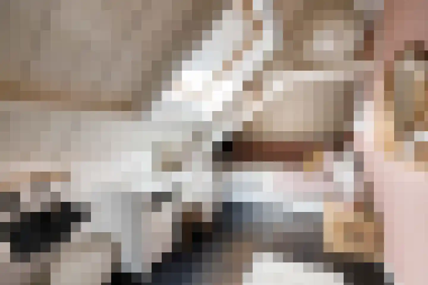 Haven 14 Geertruidenberg thumbnail 60