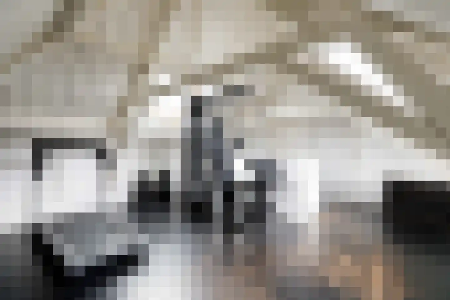 Haven 14 Geertruidenberg thumbnail 62