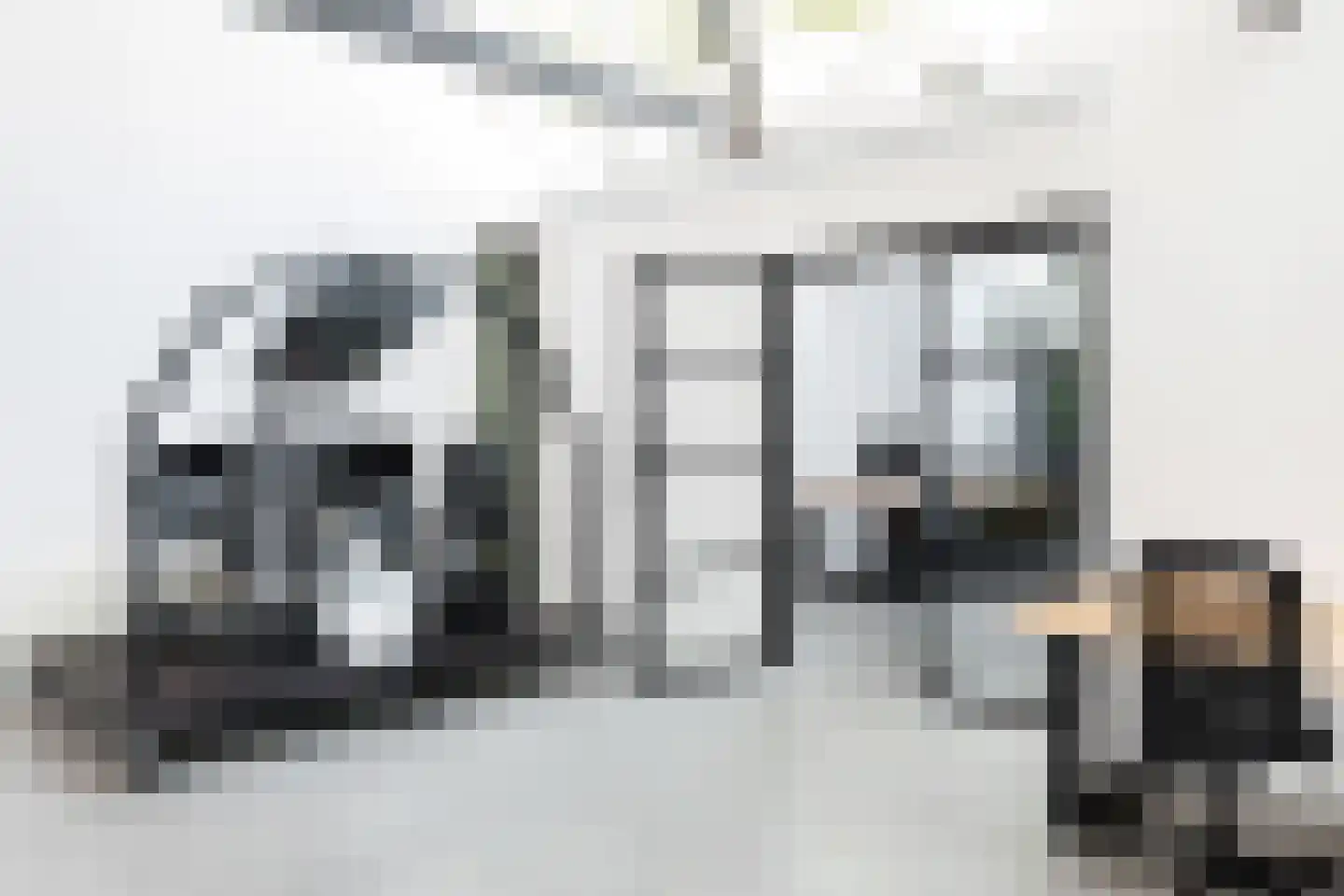Haven 14 Geertruidenberg thumbnail 75