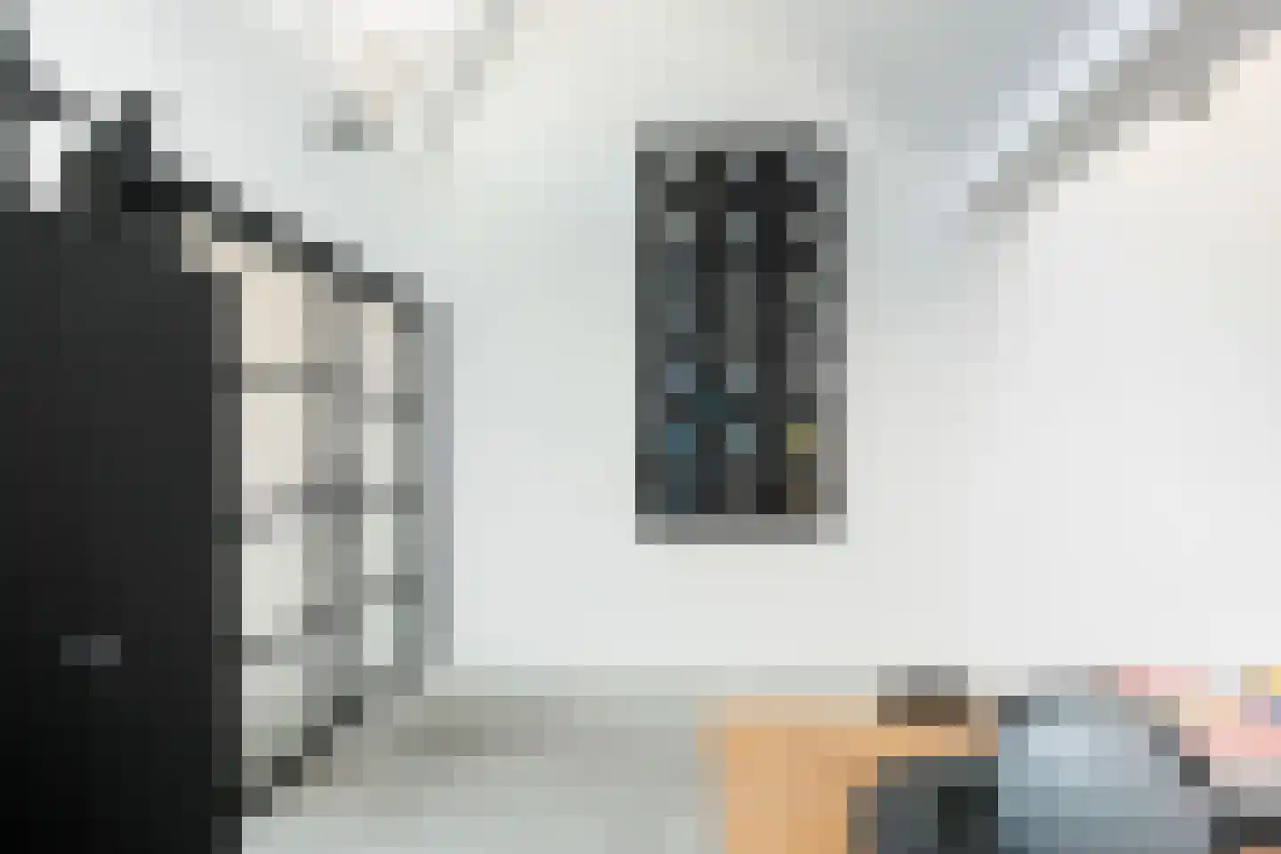 Haven 14 Geertruidenberg thumbnail 80