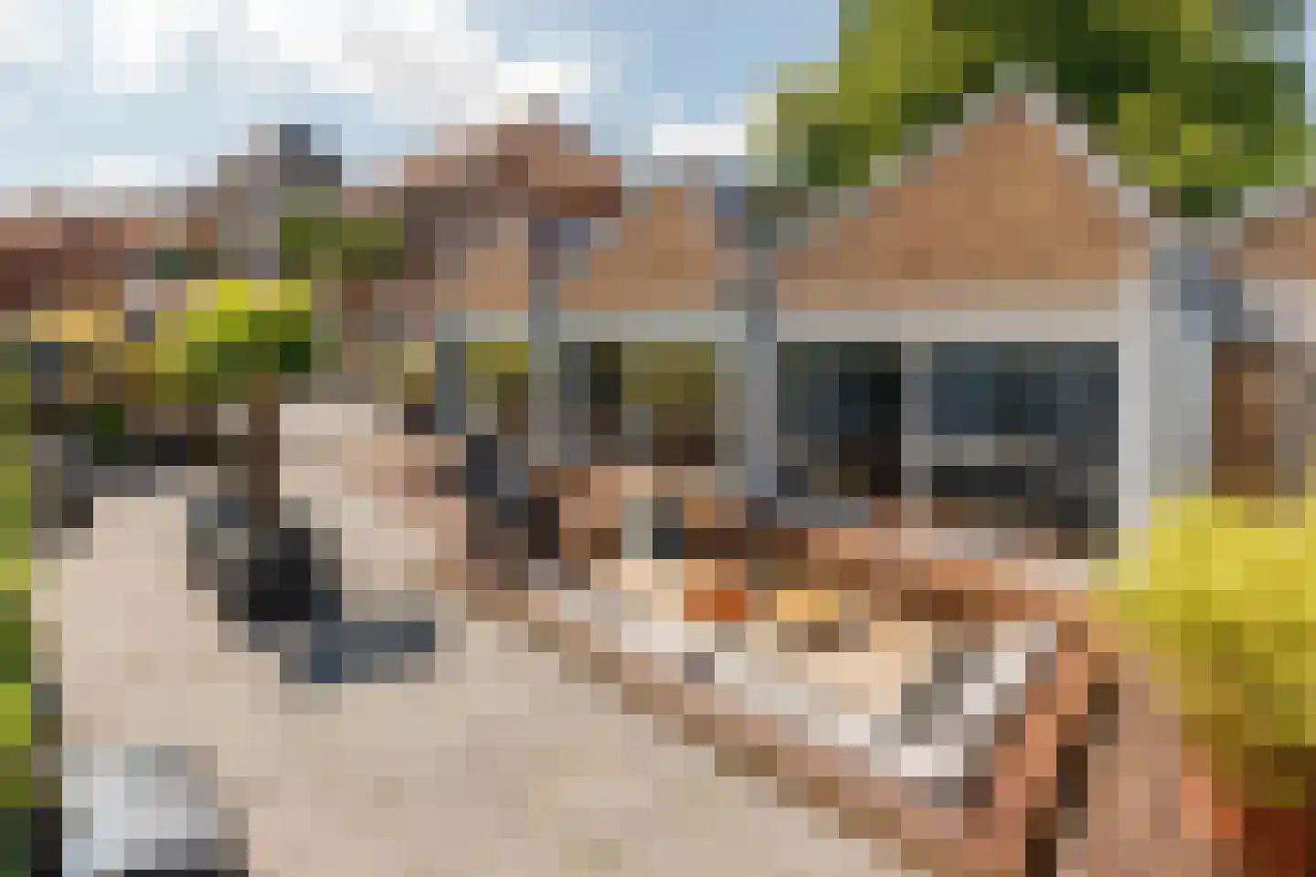 Haven 14 Geertruidenberg thumbnail 88