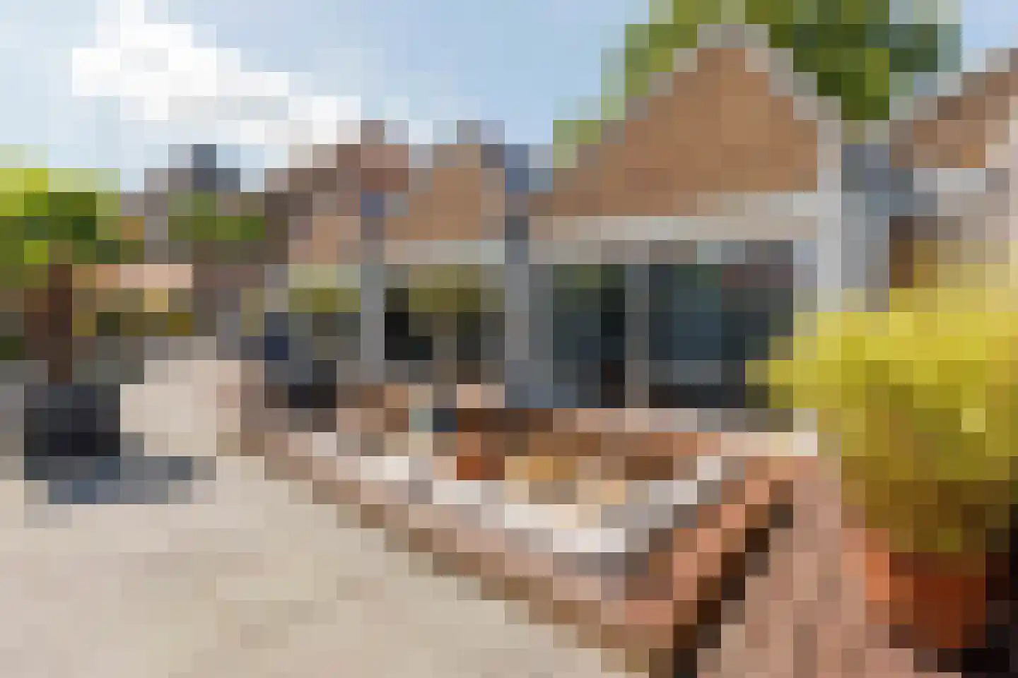 Haven 14 Geertruidenberg thumbnail 90
