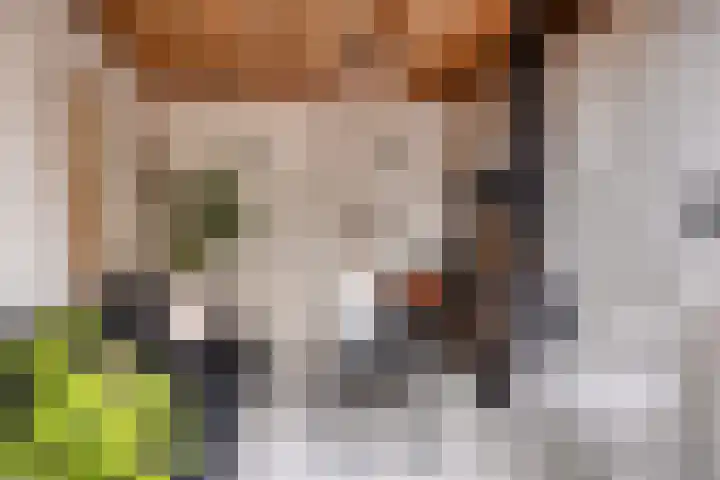 Haven 16 Sprang-Capelle thumbnail 17