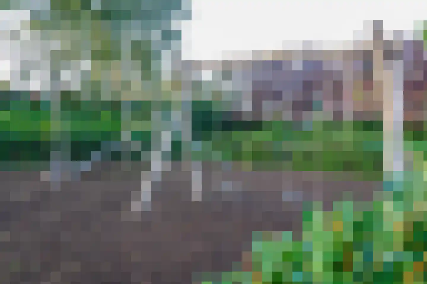 Haven 160 Hillegom thumbnail 8