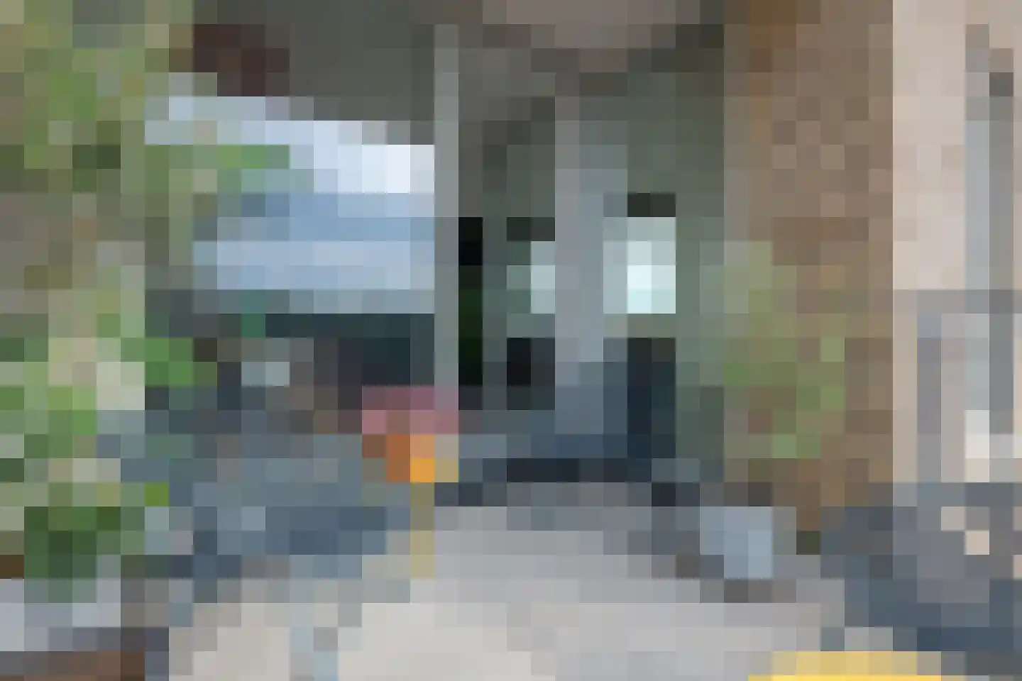 Haven 18 Leimuiden thumbnail 32
