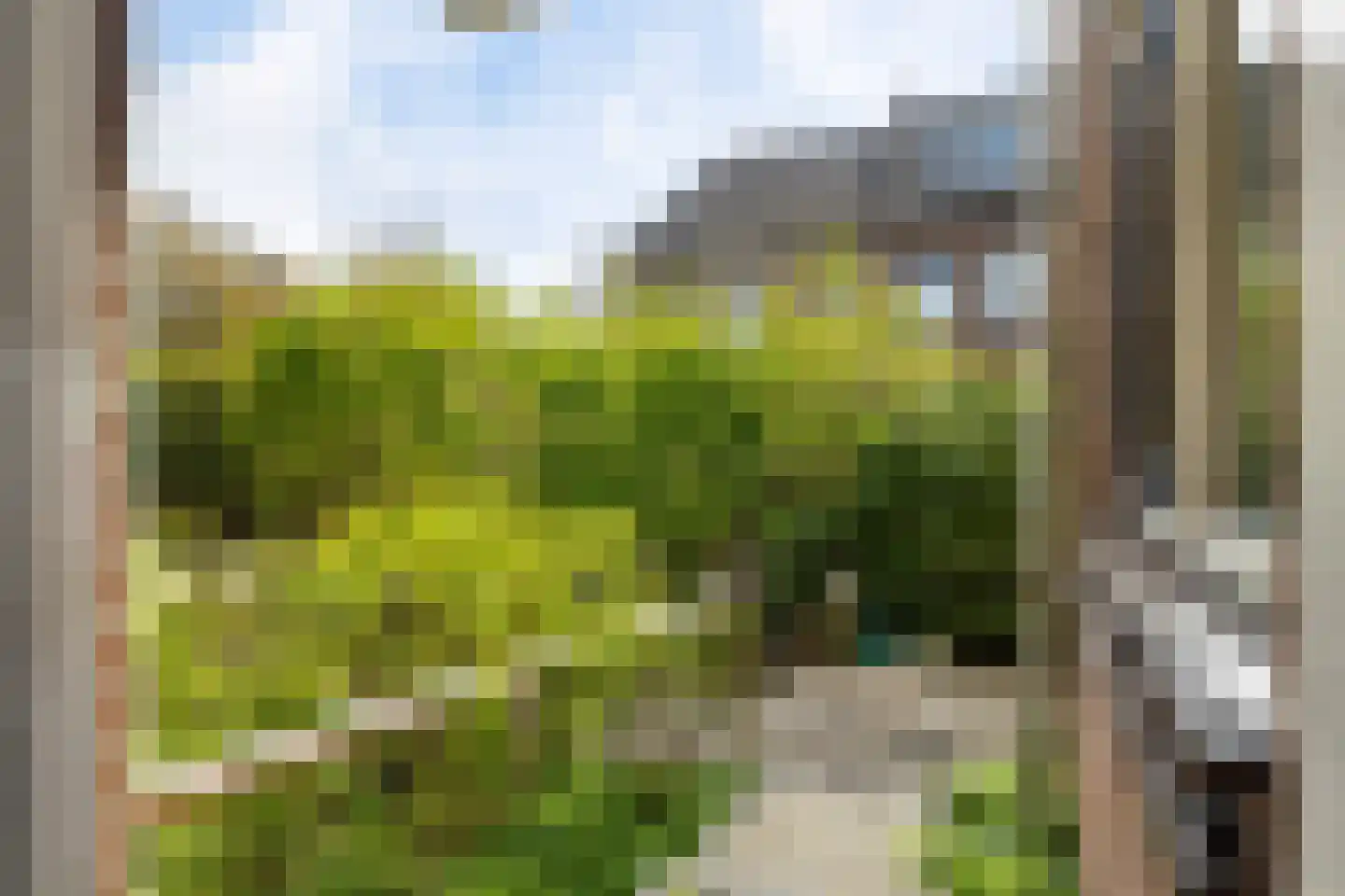 Haven 194 Hillegom thumbnail 24