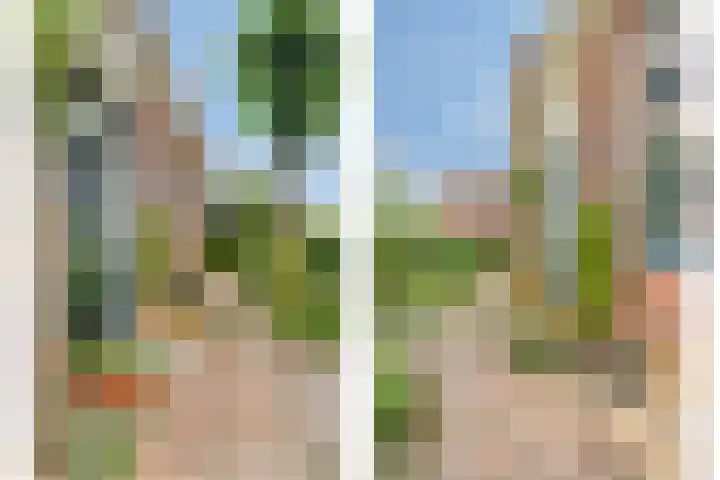 Haven 2 Ezinge thumbnail 11
