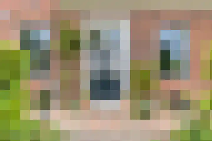 Haven 2 Ezinge thumbnail 12